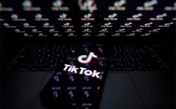 怎么在抖音国际版TikTok赚钱？TikTok撸美金项目