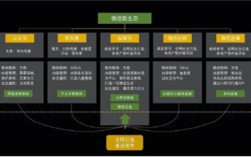 视频号1小时涨100粉经验，人人都能复制