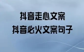 2024抖音最火文案 抖音点赞最火最高句子